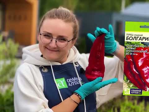 Видео: КАК ПОСАДИТЬ ЧЕСНОК ОСЕНЬЮ?