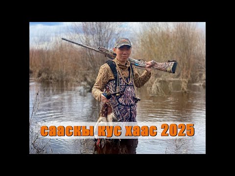 Видео: СААСКЫ КУС ХААС 2025