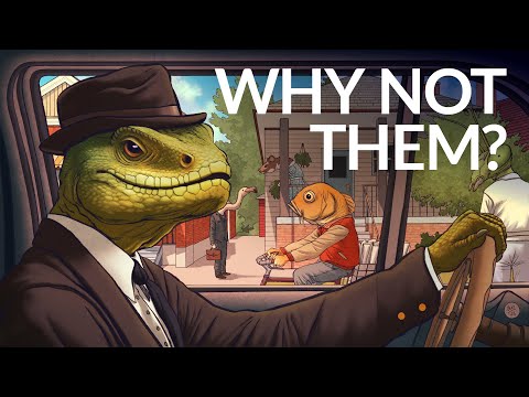 Видео: Почему мы?