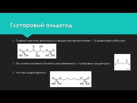 Видео: Про водоросли и глутаровый альдегид