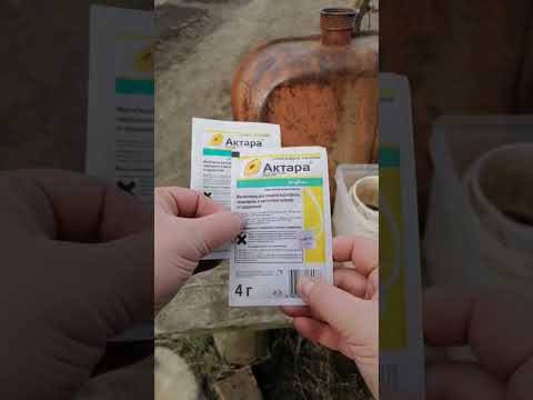 Видео: Актара за 32 рубля с Вайлдберис. Как отличить подделку и оригинал?