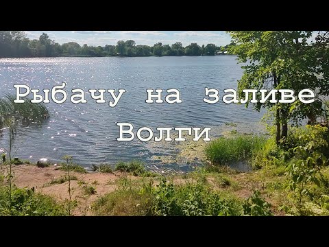 Видео: Залив Волги в июле 2024