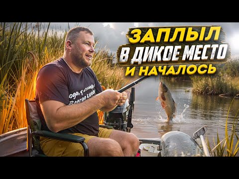 Видео: ЗАПЛЫЛ В ДИКОЕ МЕСТО И НАЧАЛОСЬ. ОГРОМНАЯ ПЛОТВА КЛЮЕТ КАК БЕШЕНАЯ!