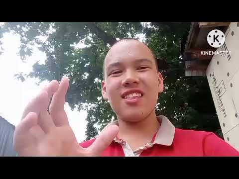 Видео: Сборник рекламных роликов 0968 29 мая 2024 года @СпанчШоу