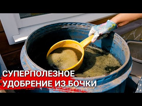 Видео: Суперполезное удобрение из бочки