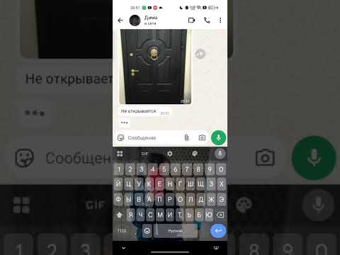 Видео: 28 октября 2025 г.