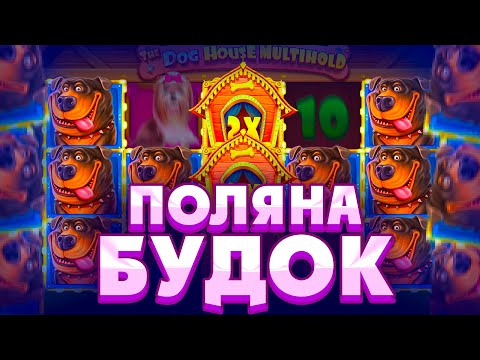 Видео: НЕРЕАЛЬНЫЕ ПОЛЯНЫ БУДОК В THE DOG HOUSE MULTIHOLD!!!КУЧА ЗАНОСНЫХ СПИНОВ В БОНУСКАХ!!