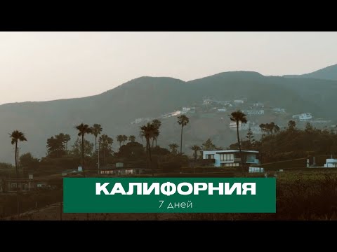 Видео: 7 дней в Калифорнии: дружба, океан, пальмы, Секвойя