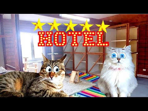 Видео: Открыли ОТЕЛЬ для ЖИВОТНЫХ!!!