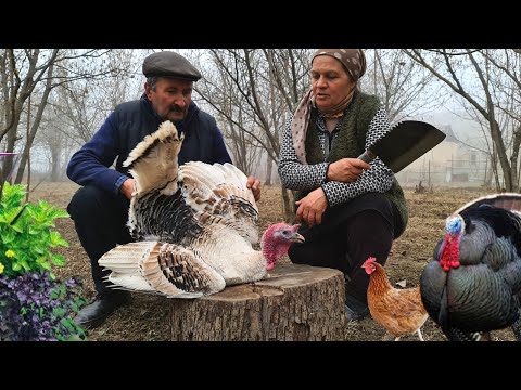 Видео: Плов из Индейки по-Деревенски на Костре 