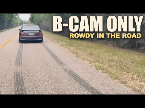 Видео: Не дайте B-Cam обмануть вас... Tuxedo Fox ВЕРНУЛСЯ!