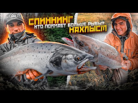 Видео: КТО ПОЙМАЕТ БОЛЬШЕ РЫБЫ? Спиннинг против нахлыста 🔥🔥🔥