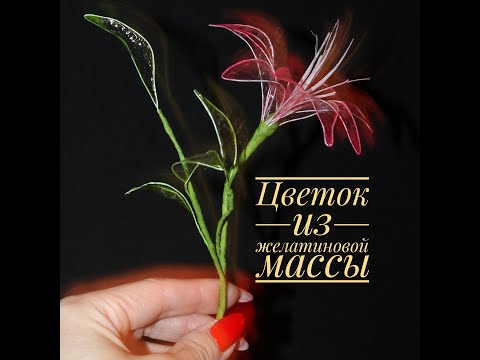 Видео: ЦВЕТОК ИЗ ЖЕЛАТИНОВОЙ МАССЫ