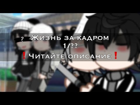 Видео: «Жизнь за кадром» // Tinny bunny//