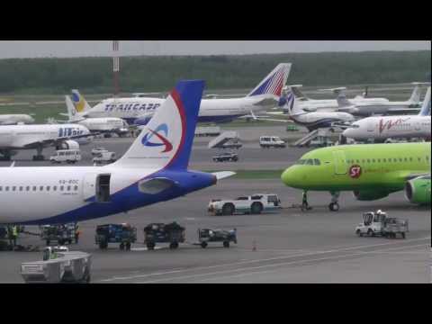 Видео: Домодедово