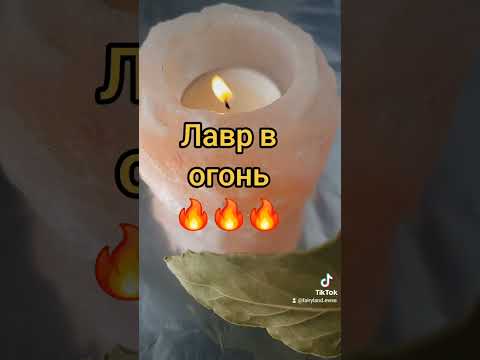 Видео: лавр в огонь