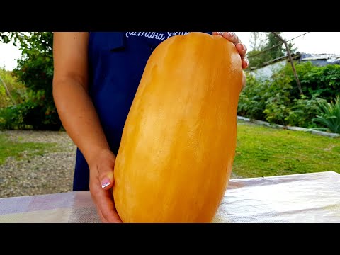 Видео: До этого Момента Муж ТЫКВУ не любил/Самый Вкусный Рецепт БЛИНОВ!!!