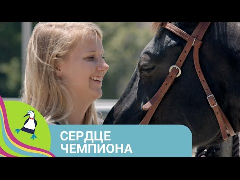 Видео: 👨‍👨‍👧‍👧 ФИЛЬМ О ЛЮБВИ К ЖИВОТНЫМ И ПРЕОБРАЖЕНИИ ЧЕЛОВЕКА! Сердце чемпиона. Фильм в HD. STARMEDIAKIDS