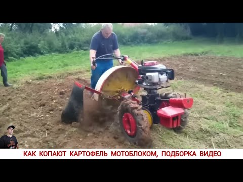 Видео: КАК КОПАЮТ КАРТОФЕЛЬ МОТОБЛОКОМ В РАЗНЫХ СТРАНАХ /HARVESTING POTATOES IN DIFFERENT COUNTRIES