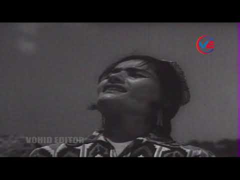 Видео: "Эй ситораҳо" Майсара Дилдорова "Ey sitoraho" Maysara Dildorova (folk)