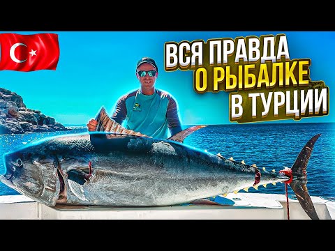 Видео: МОРСКАЯ РЫБАЛКА на ТУНЦА в ТУРЦИИ - Измир