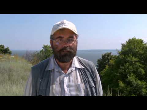 Видео: 2) БУЛГАРЫ СРЕДНЕВЕКОВЬЯ. КУРГАНЫ САМАРСКОЙ ЛУКИ.