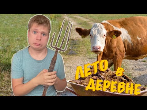 Видео: Как я провел лето в ДЕРЕВНЕ!