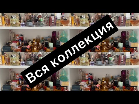 Видео: Вся коллекция! С днем рождения, каналу 1️⃣ год!