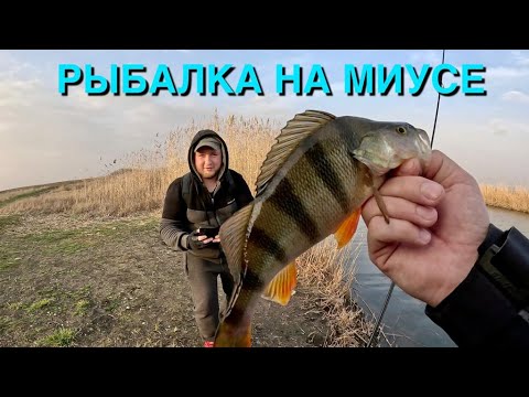 Видео: Рыбалка спиннингом с берега река Миус март 2023