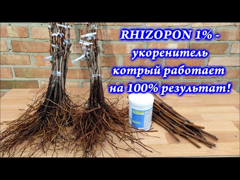 Видео: Ризопон 1% - укоренитель который работает на 100% результат!