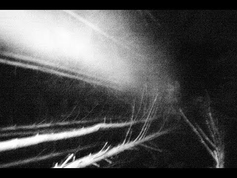 Видео: Как получить ответ от жизни. Исполнение желаний.