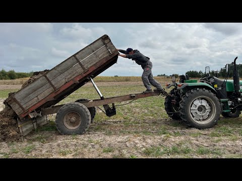 Видео: Шалені прибутки від биків! Глибока підстилка! Відгодівля!!!