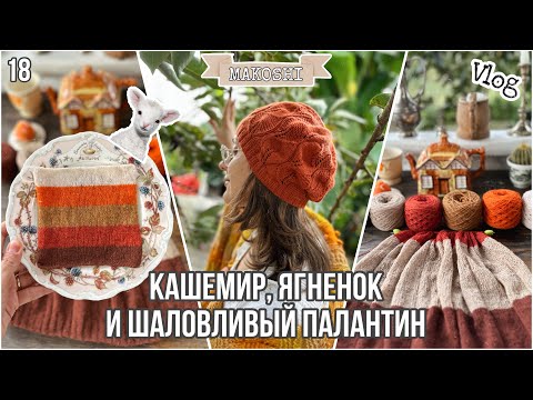 Видео: VLOG18/24: Кашемир, ягненок и шаловливый палантин 🍁