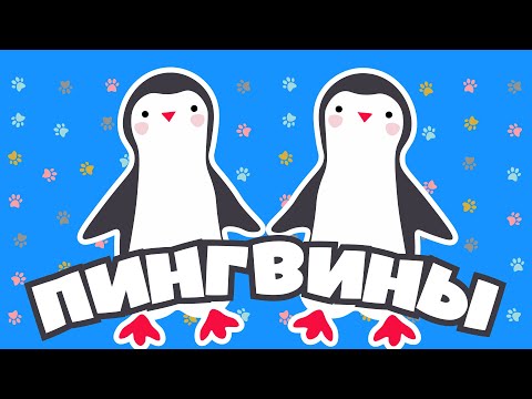 Видео: Творение учит нас | Пингвины