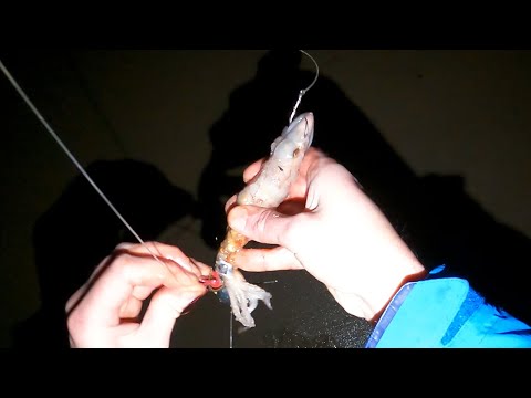 Видео: Забрасываем БОЛЬШИЕ приманки | Рыбалка на треску с пляжа в Нортумберленде | Морская рыбалка в Вел...