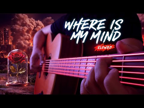 Видео: ТЕПЕРЬ ЭТА МЕЛОДИЯ РАСЦВЕЛА 🌹