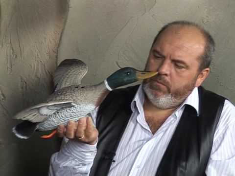 Видео: Главная охота. Охота на диких уток