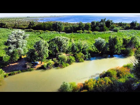 Видео: Көктемнің соңғы күндері балыққа шығып қайттық Түркістан облысы Бөген өзені Арыс өзені