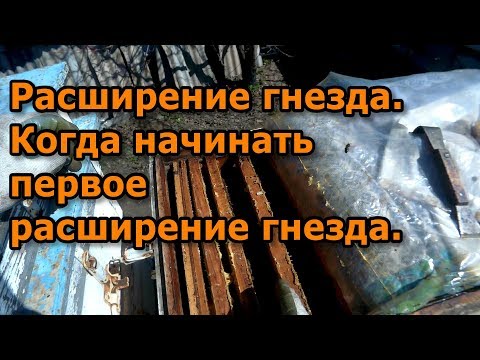Видео: Расширение гнезда. Когда начинать первое расширение гнезда.