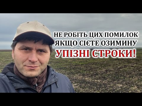 Видео: Не робіть цих помилок якщо пізно сієте озимину!