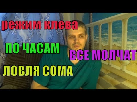 Видео: ВРЕМЯ,ВЫХОДЫ/ЛОВЛЯ СОМА, а ТЫ ЗНАЛ?