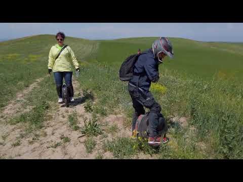 Видео: Три моноколеса за городом