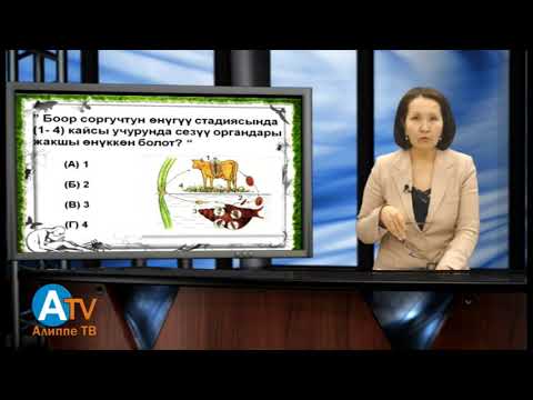 Видео: Биология 1