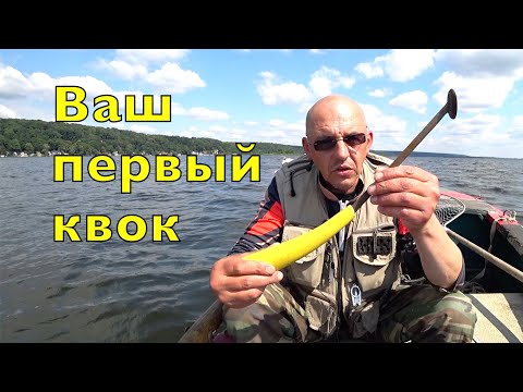 Видео: СОМ НА КВОК. ВЫБОР ПЕРВОГО КВОКА. Не надо слушать мантры.