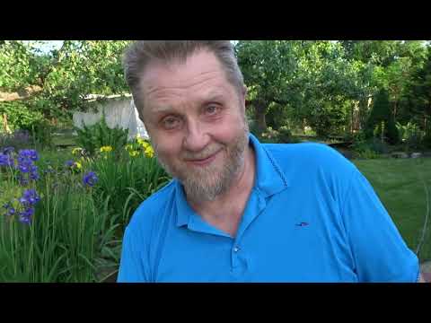 Видео: ОГОРОД. ГИБРИД И  СОРТ. ГИБРИДЫ - ЭТО ПЛОХО?