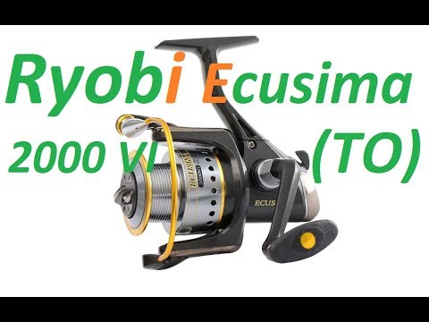 Видео: Ryobi ECUSIMA 2000VI (Полная разборка и ТО)