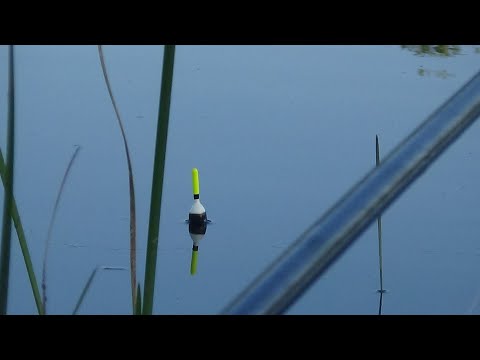 Видео: КАРАСИ КАК КАРПЫ ГНУТ УДОЧКУ! ЗАБРАЛИСЬ В РЕАЛЬНУЮ ДИЧЬ! Рыбалка на поплавок в июле