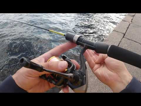 Видео: #179  Black Adder BA562XUL-S-20 (0.5-1.2гр.) Slow