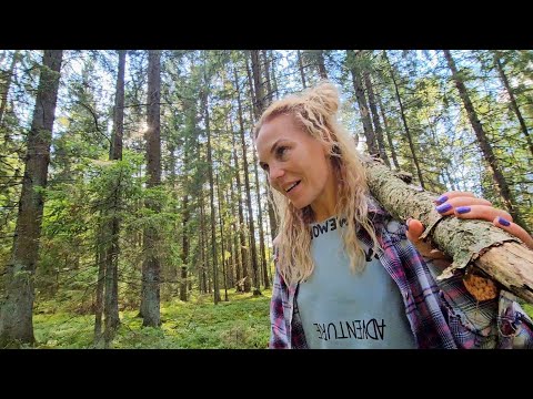 Видео: Дары лесов или БЕССТРАШНЫЕ БАБКИ! Как мы искали места где растут грибы и осенние ягоды