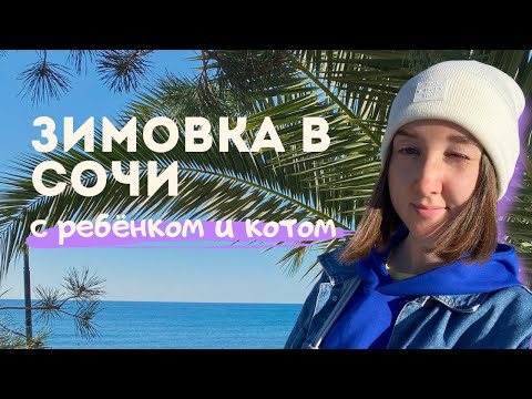 Видео: ЗИМОВКА В СОЧИ из Казани | Цены на жилье | Трудности | Перевозка вещей